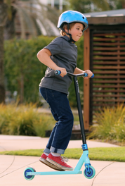 Chilli Critter Scooter
