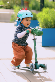 Micro Mini ECO Scooter