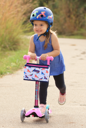 Micro Mini Scooter