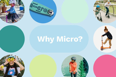 Why Micro?