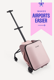 Micro Allrounder Ride-On Travel Cart