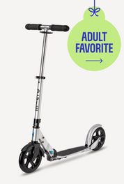 Micro Classic Matte Silver Scooter