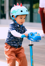 Micro Mini Scooter