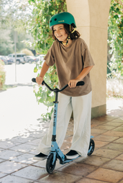 Micro Speed Deluxe Scooter