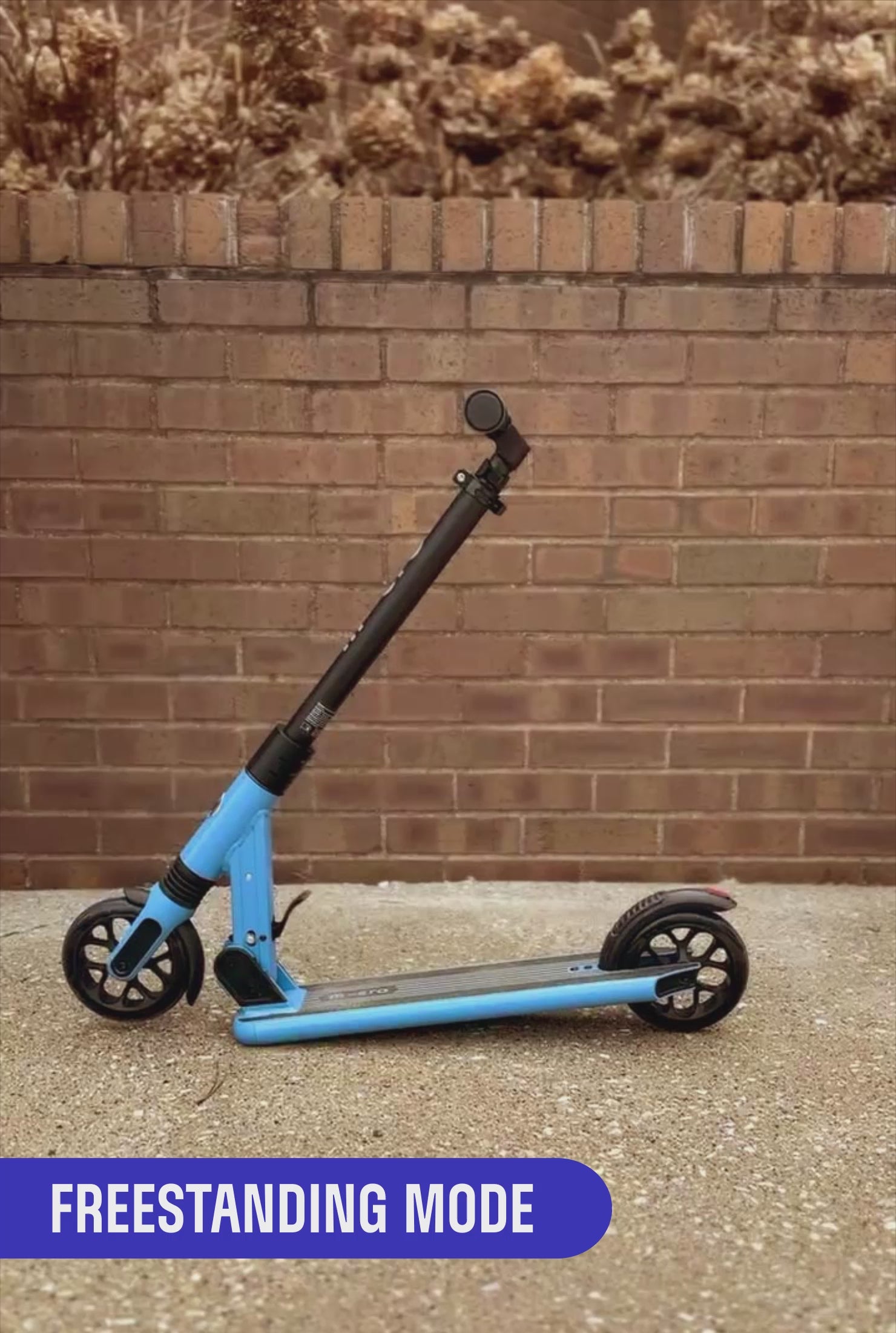 Micro Sprite Suspension Scooter – Micro Kickboard